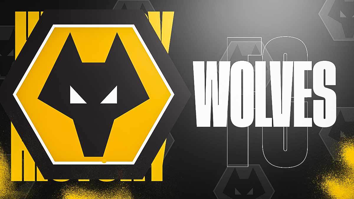 Câu lạc bộ bóng đá Wolves – Một cuộc hồi sinh ngoạn mục