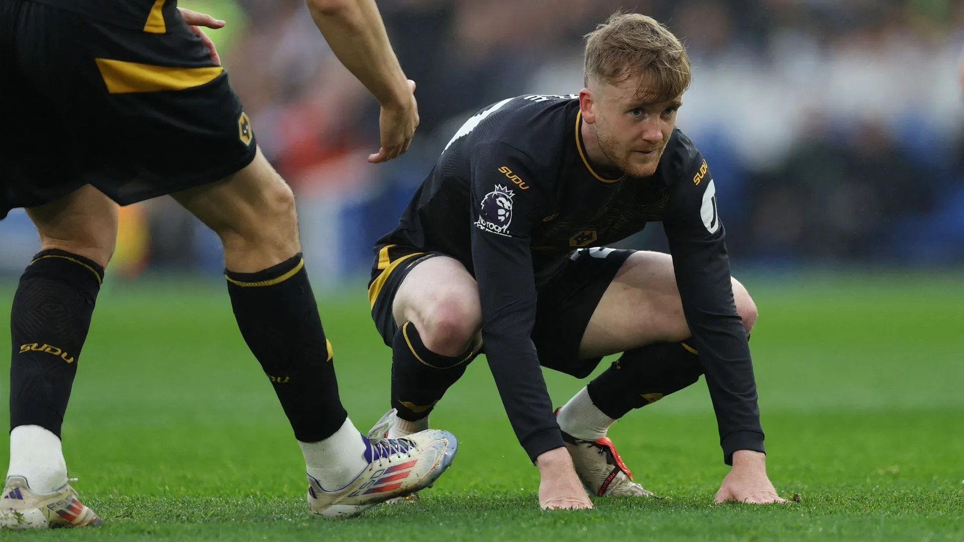 Tommy Doyle thi đấu cho Wolves trong trận gặp Brighton