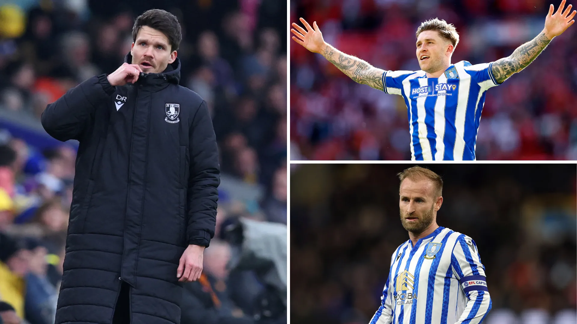 HLV Danny Rohl cùng Josh Windass và Barry Bannan của Sheffield Wednesday