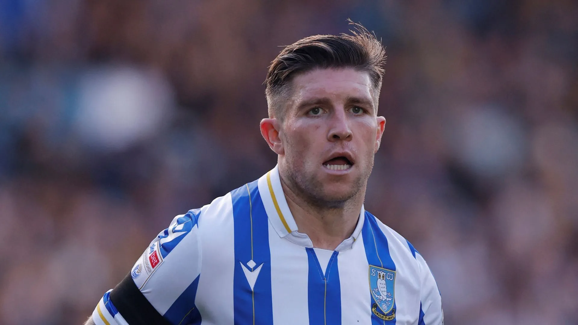 Josh Windass, tiền đạo Sheffield Wednesday, trên sân đấu