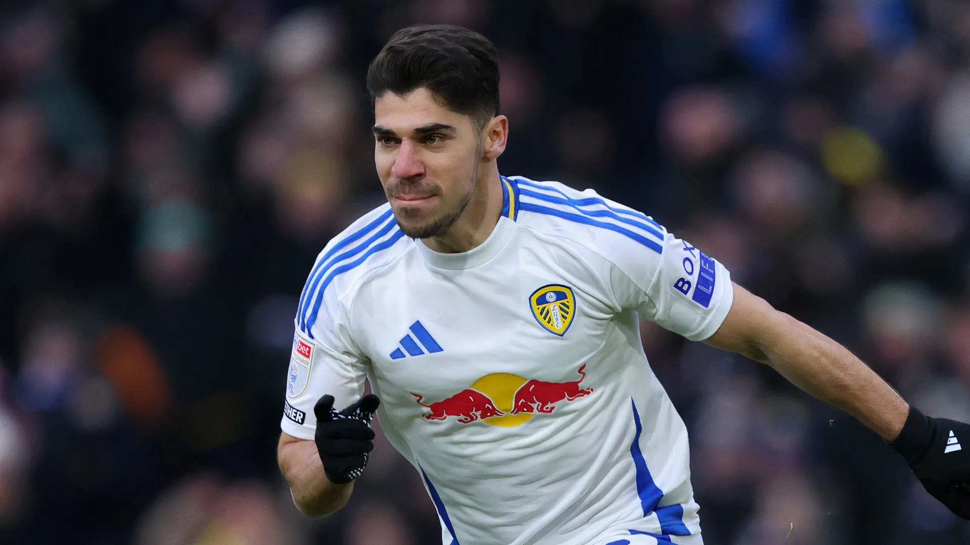 Manor Solomon trong màu áo Leeds United mùa giải 2024/25