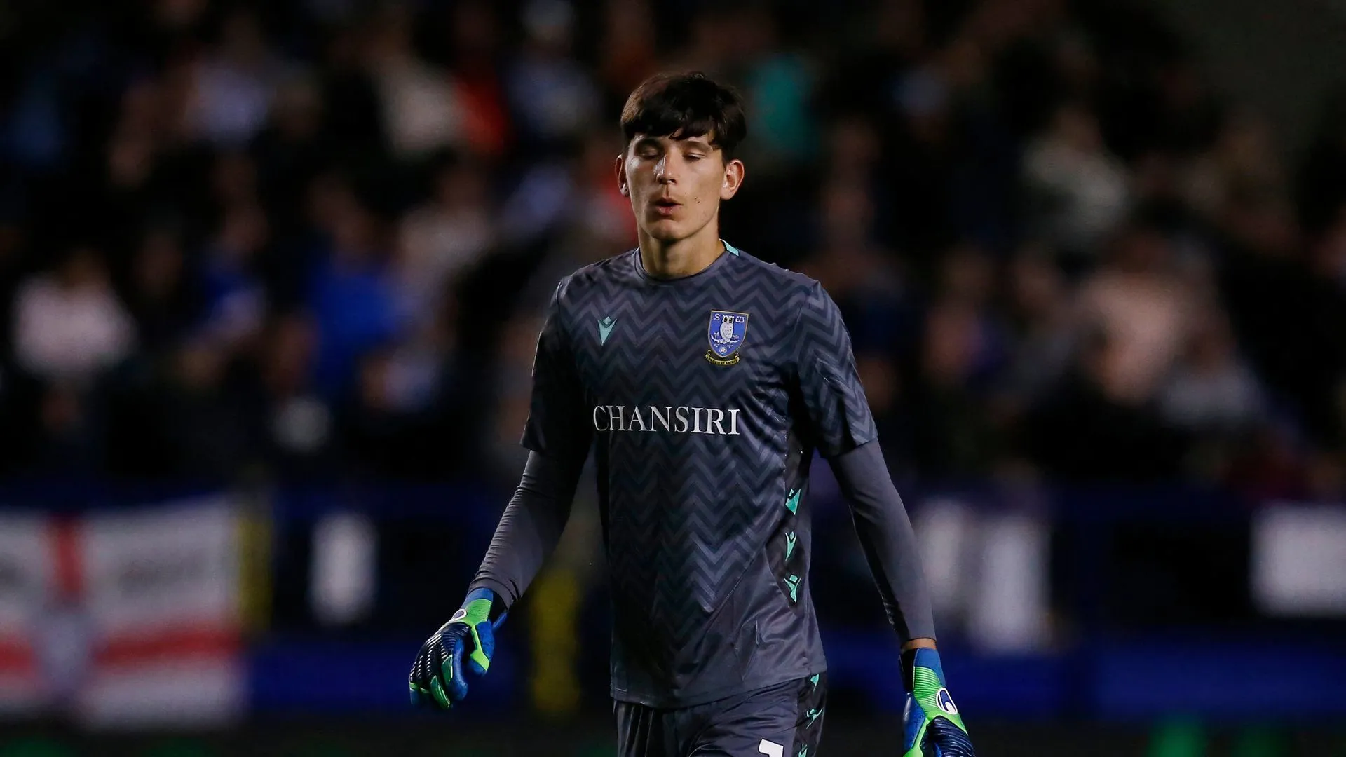 Thủ môn James Beadle trong màu áo Sheffield Wednesday tại Giải hạng Nhất Anh