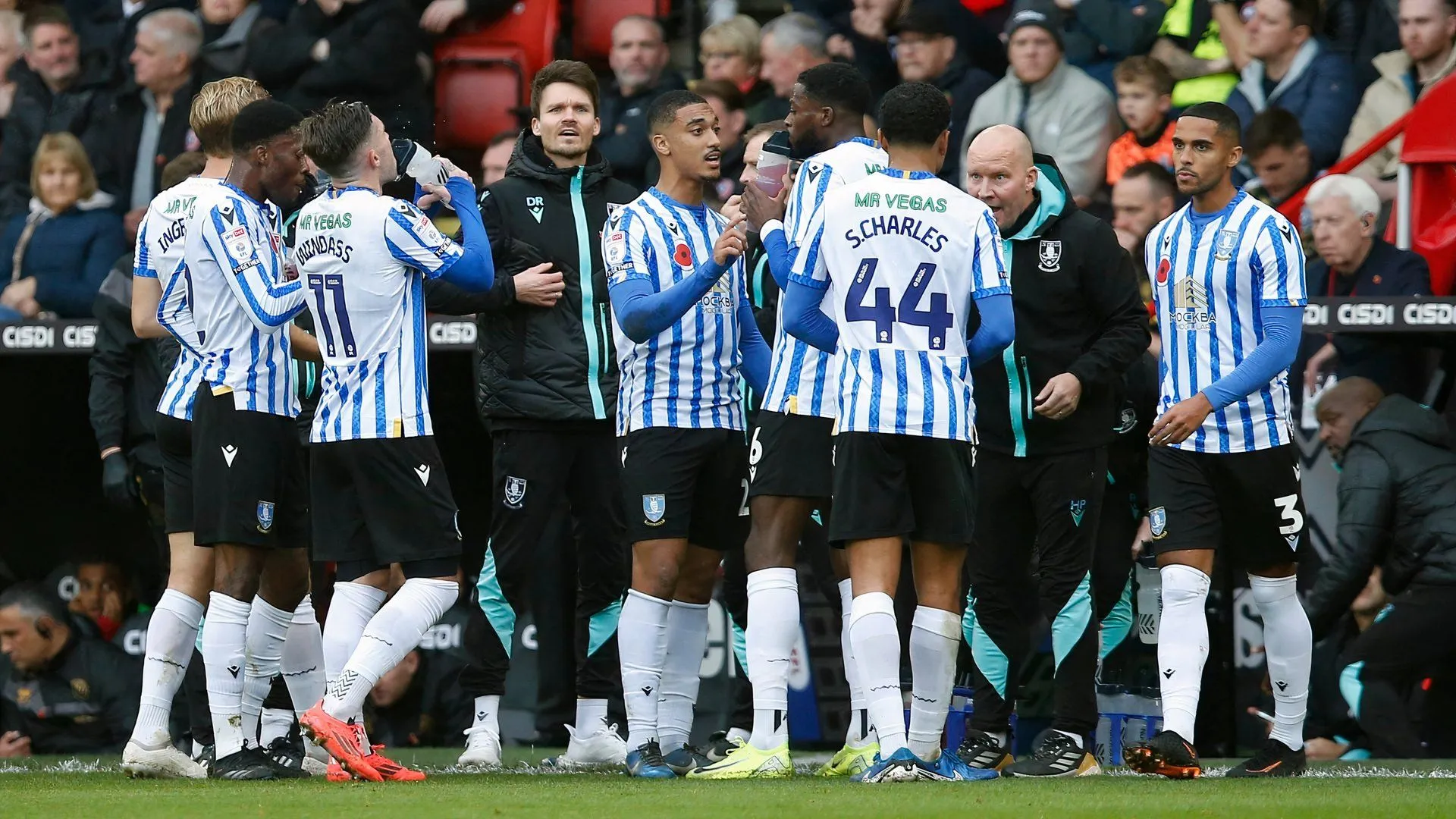 Huấn luyện viên Danny Rohl và các cầu thủ Sheffield Wednesday trên sân tập