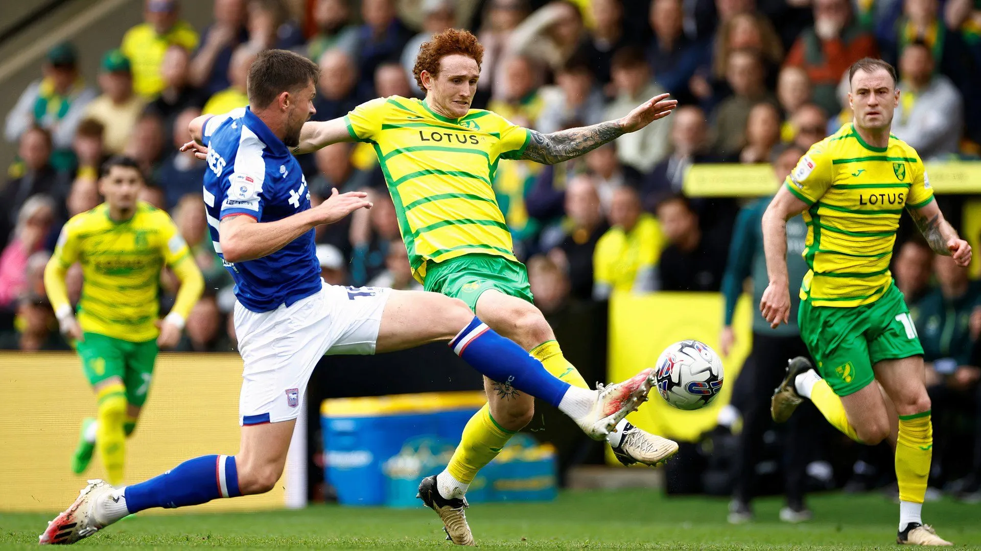 Josh Sargent trong màu áo Norwich City, tiền đạo được nhiều CLB Premier League, Bundesliga, Serie A quan tâm