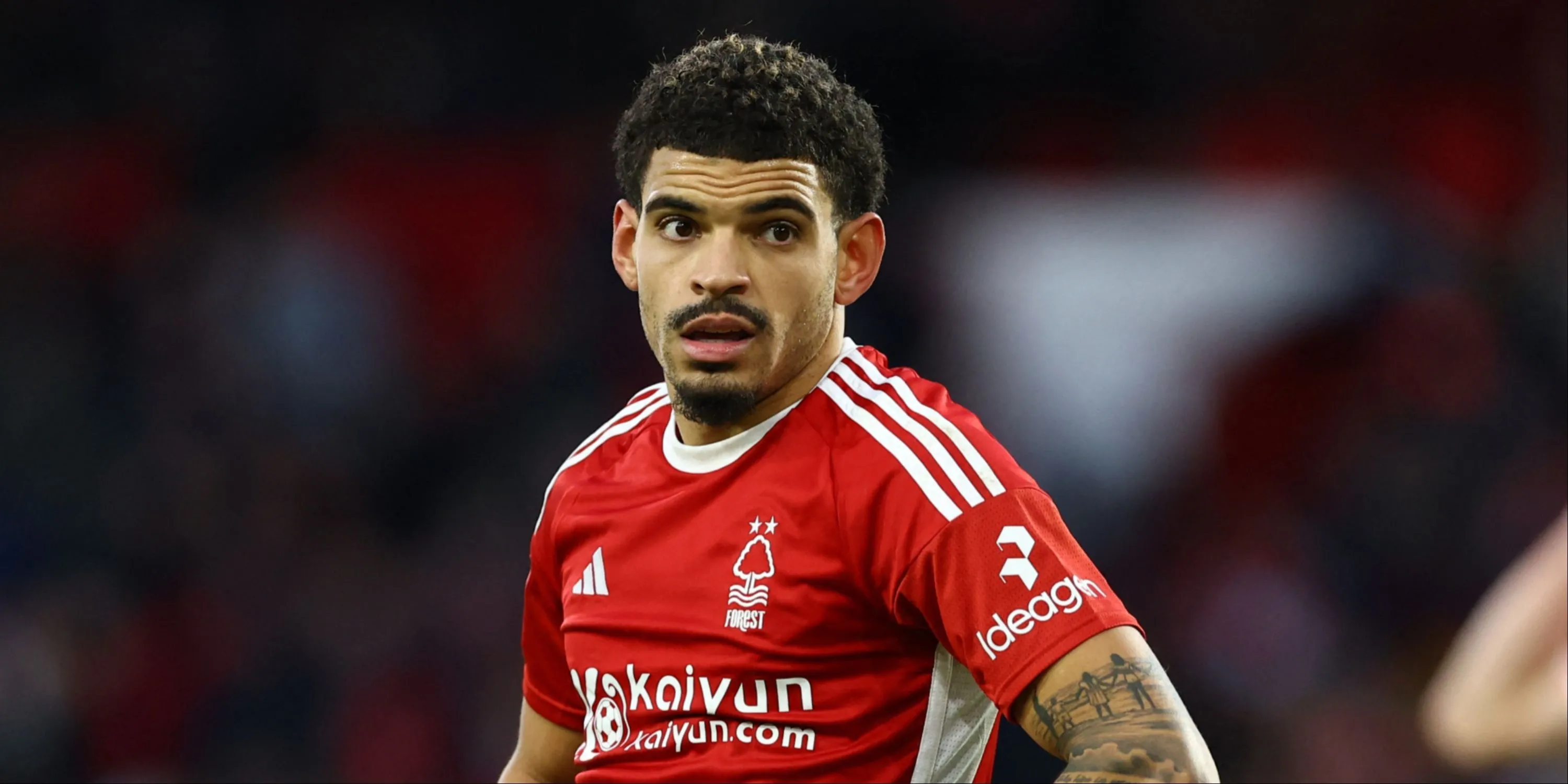 Morgan Gibbs-White trong màu áo câu lạc bộ Nottingham Forest.