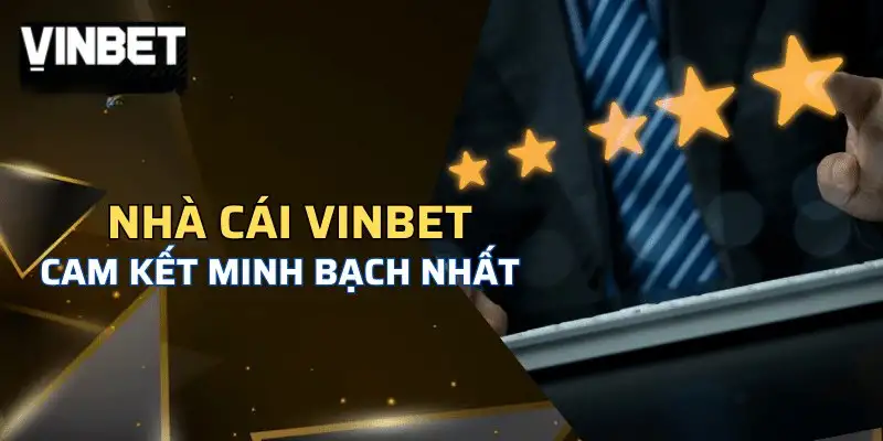 Nhà cái Vinbet – Điểm đến uy tín cho dân chơi cá độ