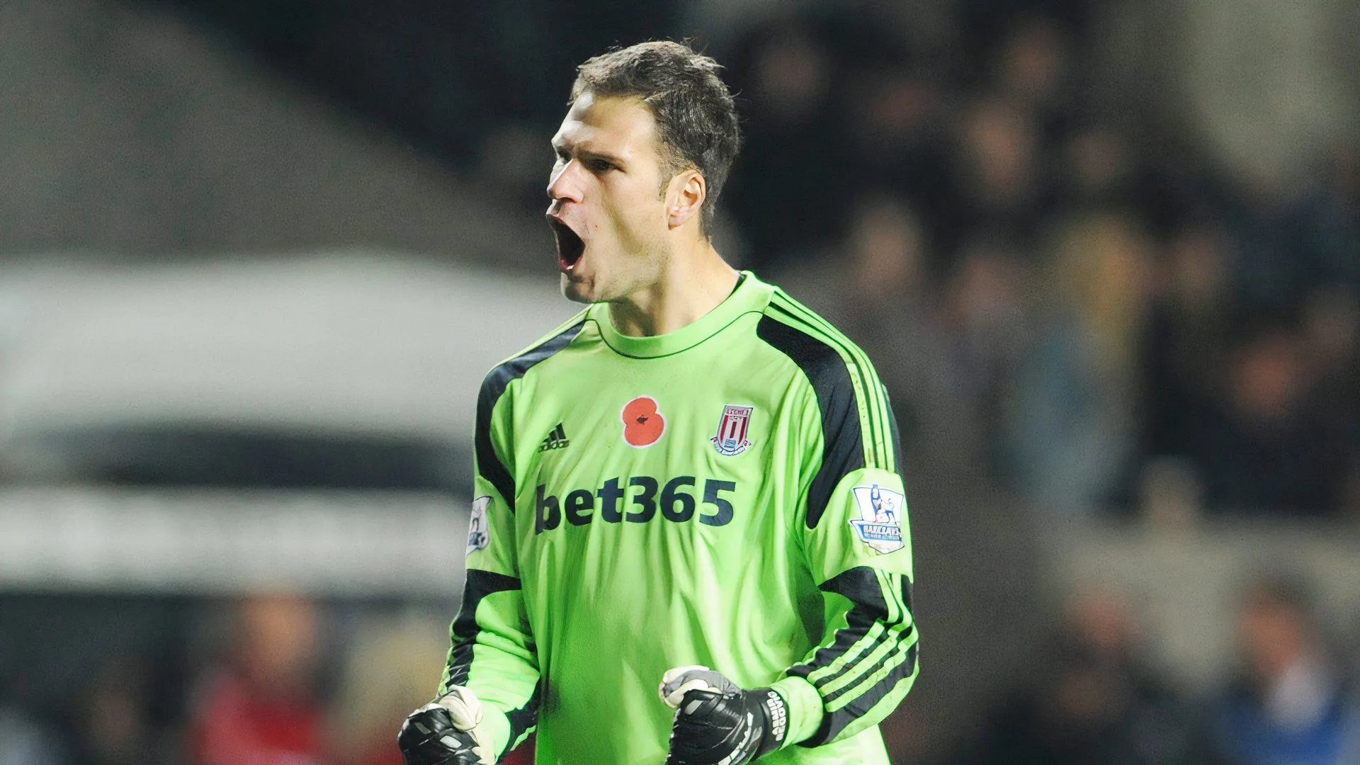 Thủ thành Asmir Begovic trong màu áo Stoke City, một biểu tượng kinh nghiệm ở Ngoại hạng Anh.