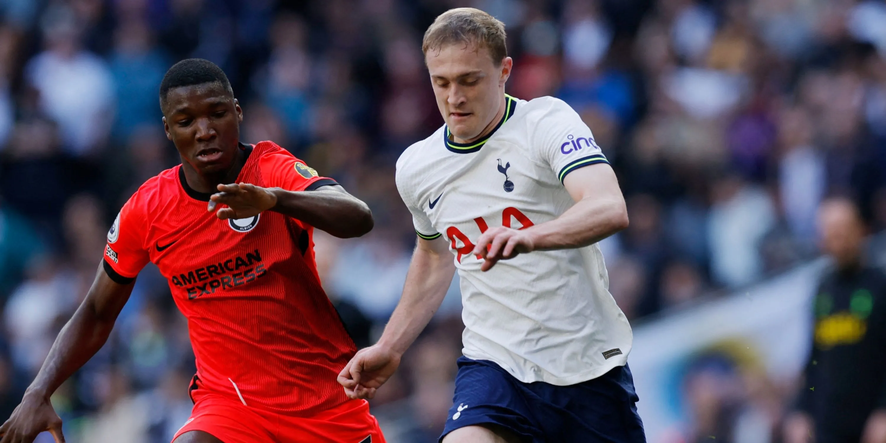 Oliver Skipp trong màu áo Tottenham trên sân cỏ